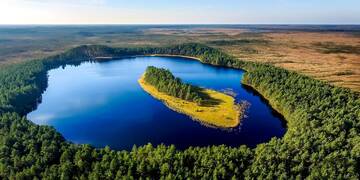 Фото номера Вилла Виллы Villa Pillapalu г. Pillapalu 19